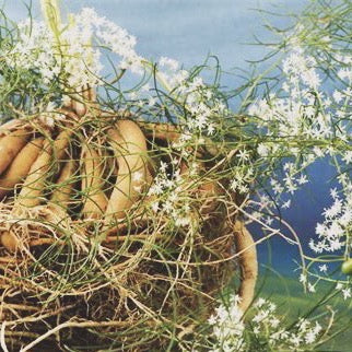 SOOTHING TEA/ pitta balancing