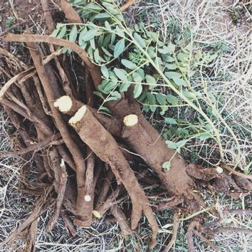 SOOTHING TEA/ pitta balancing
